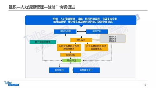構建以網絡技術開發為驅動的人力資源管理體系，助力企業實現跨越式發展